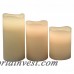 Alcott Hill 3 Piece Trendy LED Pillar Candle Set ALTH5146